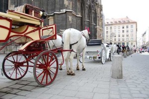 идиома put the cart before the horse